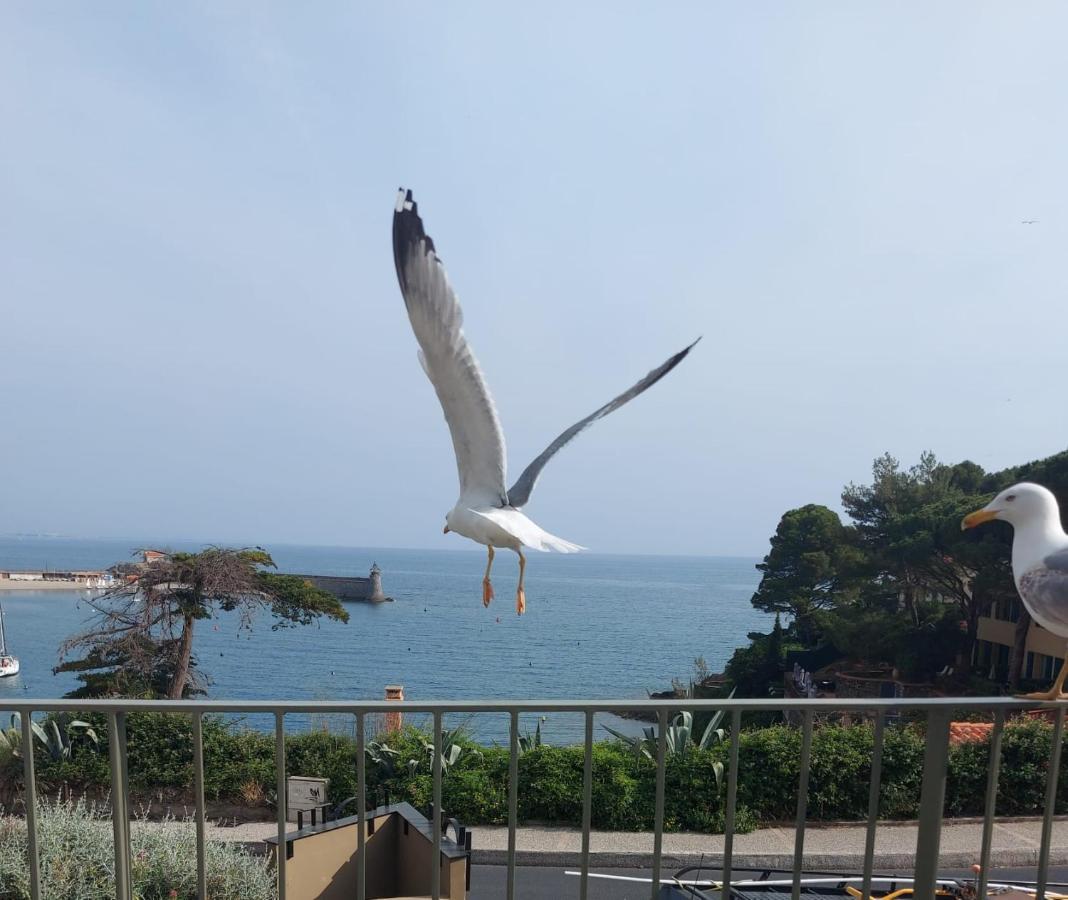 Hotel Le Bon Port Collioure Exterior photo
